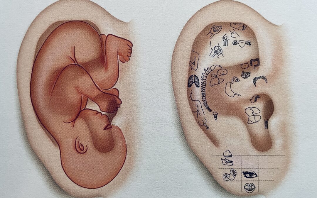 Origine de l&rsquo;auriculothérapie