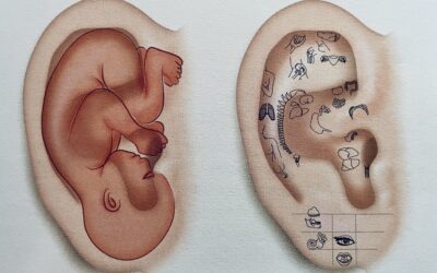 Origine de l’auriculothérapie